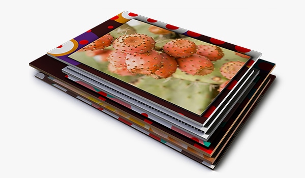 Forex o plexiglass