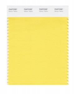 1. pantone minion