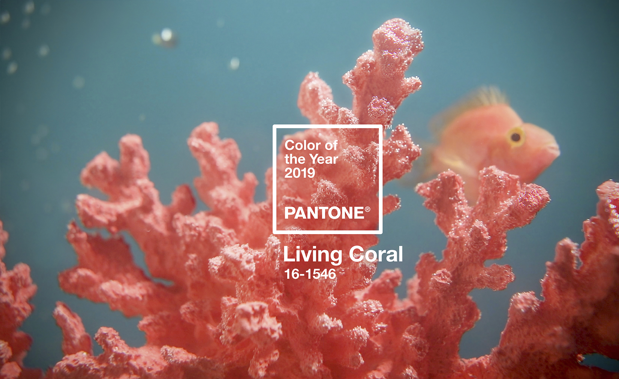 Pantone Color of the Year 2019 Living Coral 16-1546